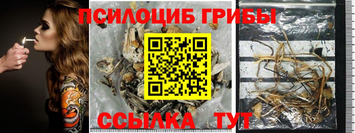 Псилоцибиновые грибы прущие грибы Лысьва